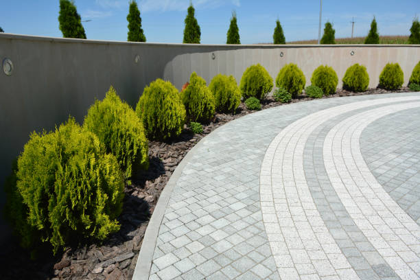 Best Custom Driveway Pavers  in Hertford, NC